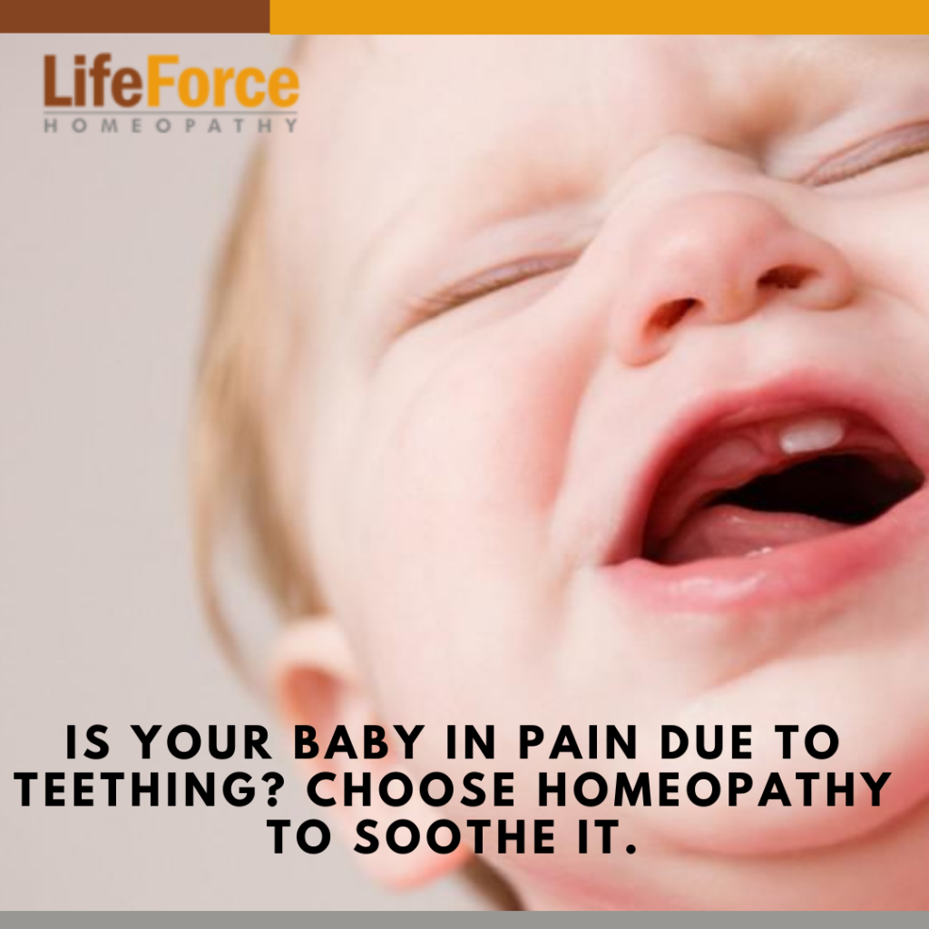 is-your-baby-in-pain-due-to-teething-choose-homeopathy-to-soothe-it