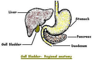 Homeopathic treatment for gallstones